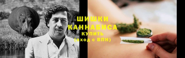 дживик Бронницы