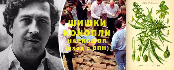 дживик Бронницы