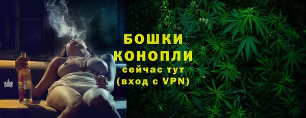 дживик Бронницы